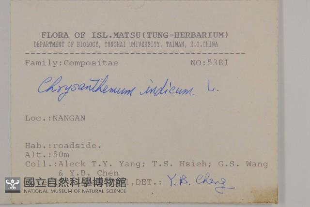 油菊藏品圖，第2張