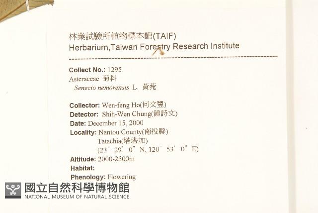 黃菀藏品圖，第2張