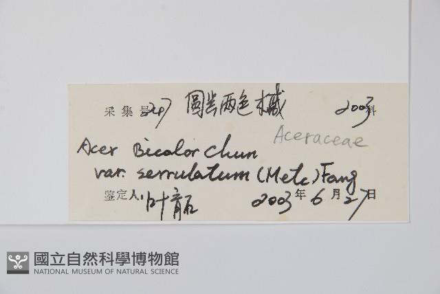 登錄號:S128892藏品圖，第2張