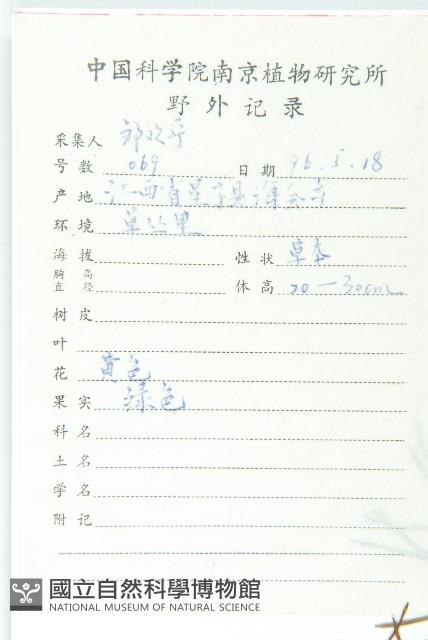 葶藶藏品圖，第2張