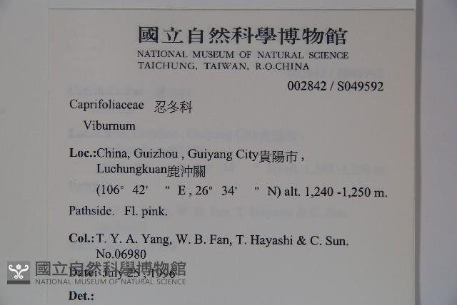 登錄號:S049592藏品圖，第2張