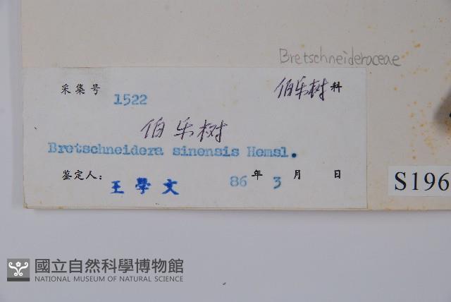 鐘萼木藏品圖，第2張