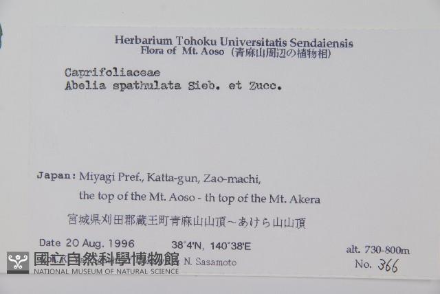 登錄號:S058632藏品圖，第2張