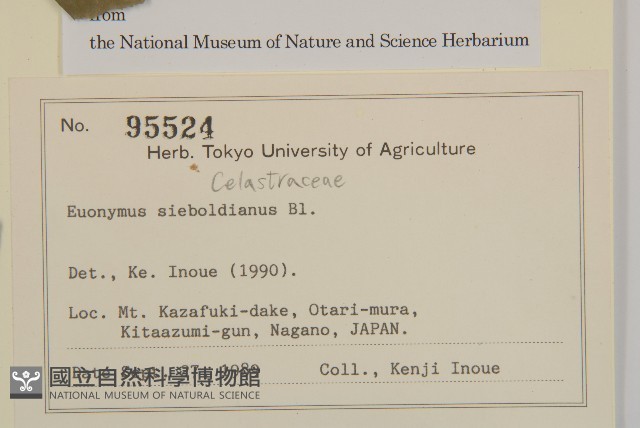 登錄號:S128032藏品圖，第2張