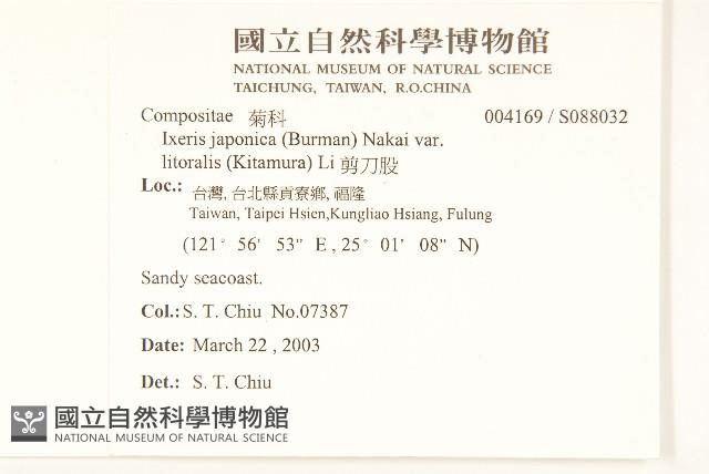 剪刀股藏品圖，第2張