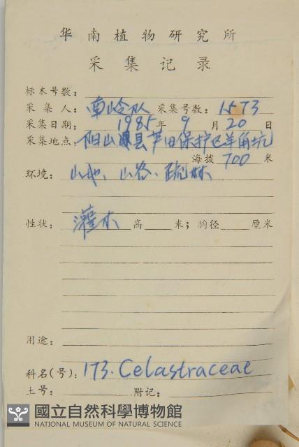 大果衛矛藏品圖，第2張