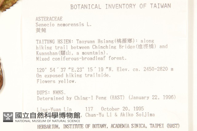 黃菀藏品圖，第2張