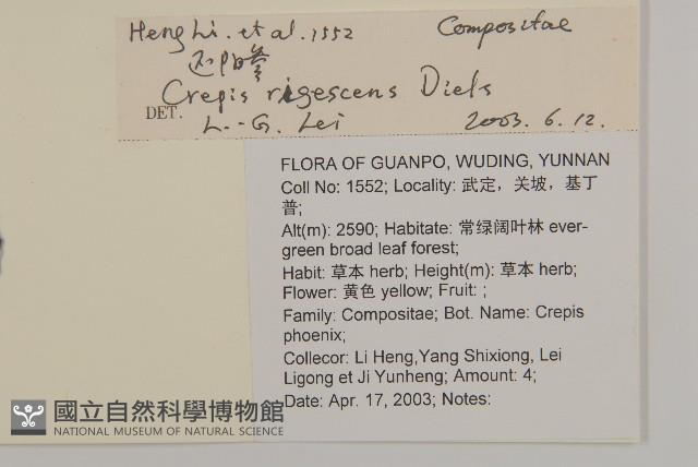 還陽參藏品圖，第2張