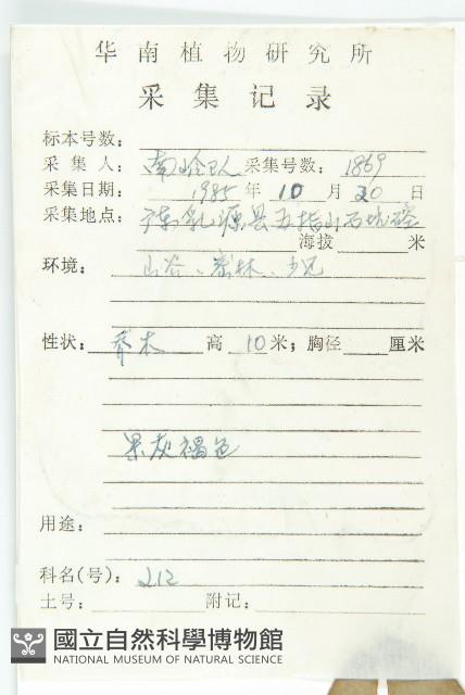 馬蹄參藏品圖，第2張