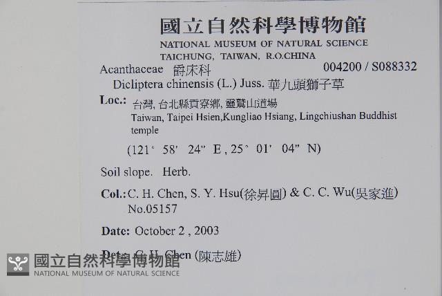 華九頭獅子草藏品圖，第2張