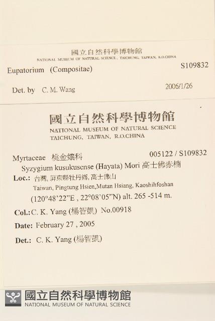 登錄號:S109832藏品圖，第2張