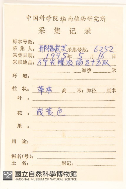 長柄菊藏品圖，第2張