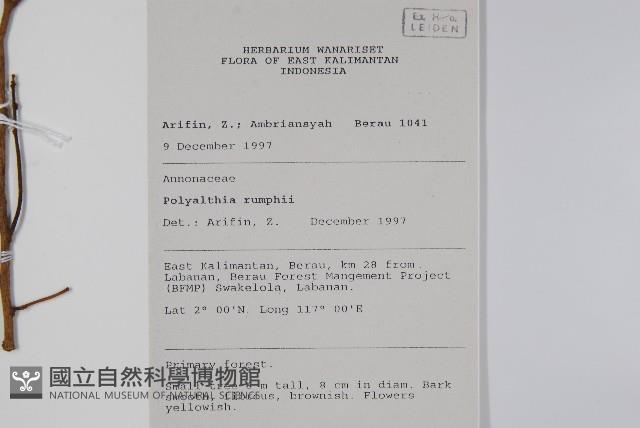 香花暗羅藏品圖，第2張