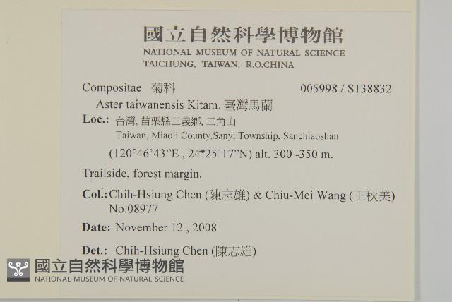 臺灣馬蘭藏品圖，第2張