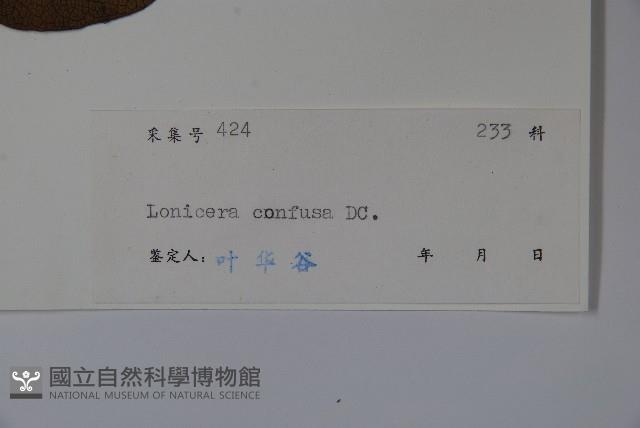 山銀花藏品圖，第2張