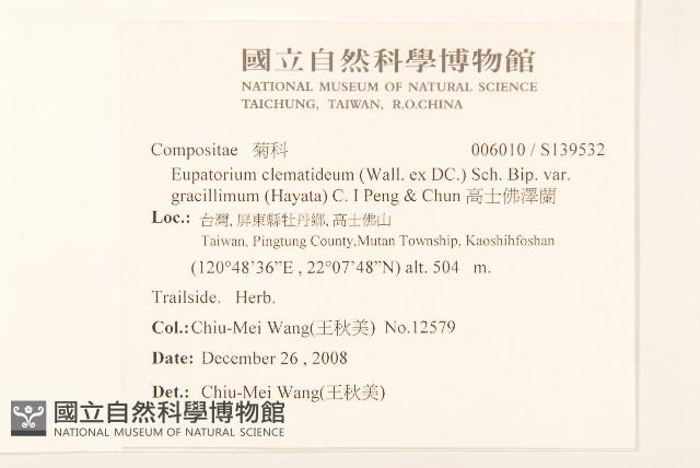 高士佛澤蘭藏品圖，第2張