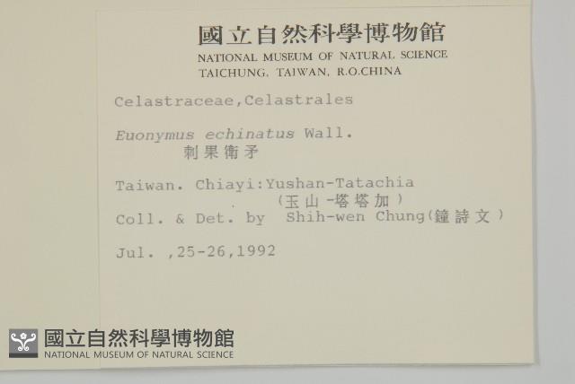 刺果衛矛藏品圖，第2張