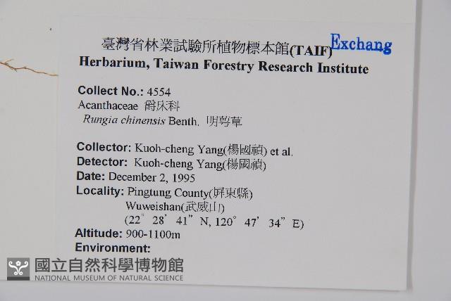 明萼草藏品圖，第2張