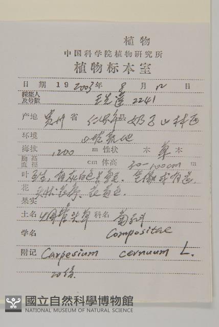 杓兒菜藏品圖，第2張