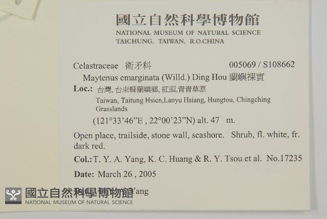 蘭嶼裸實藏品圖，第4張