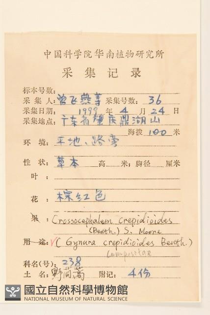 野茼蒿藏品圖，第2張