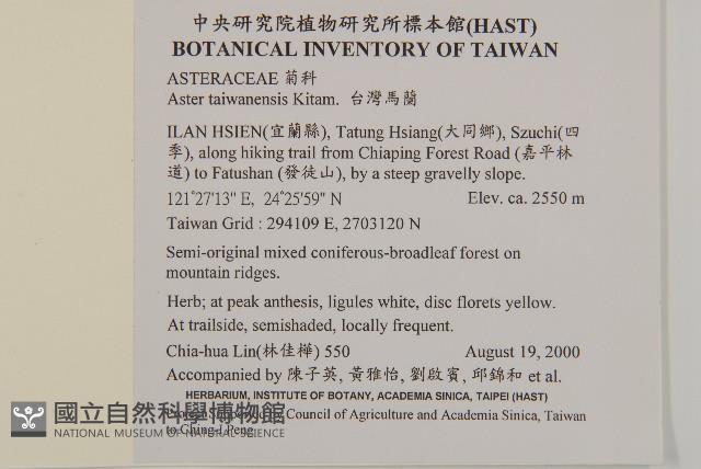 臺灣馬蘭藏品圖，第2張