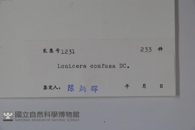 山銀花藏品圖，第2張