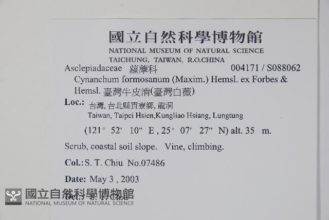 臺灣牛皮消、臺灣白薇藏品圖，第2張