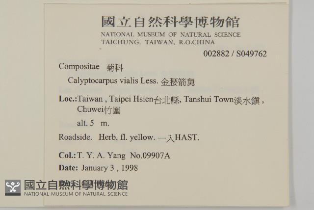 金腰箭舅藏品圖，第2張