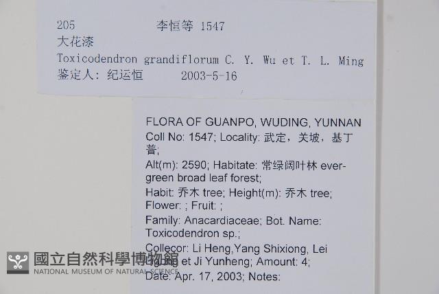 大花漆藏品圖，第2張