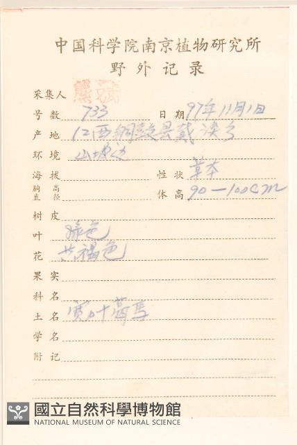 臺灣山苦苣藏品圖，第2張