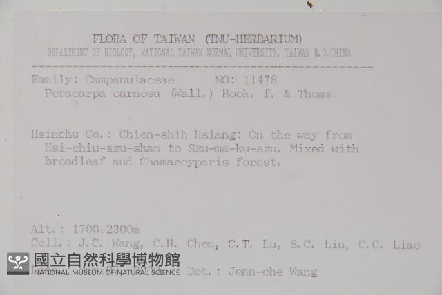 山桔梗藏品圖，第2張