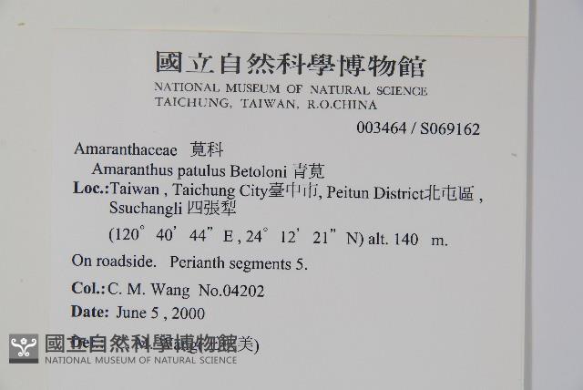 青莧藏品圖，第2張