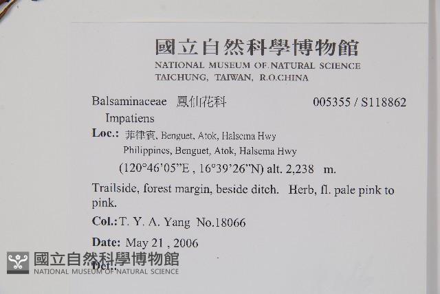 登錄號:S118862藏品圖，第2張