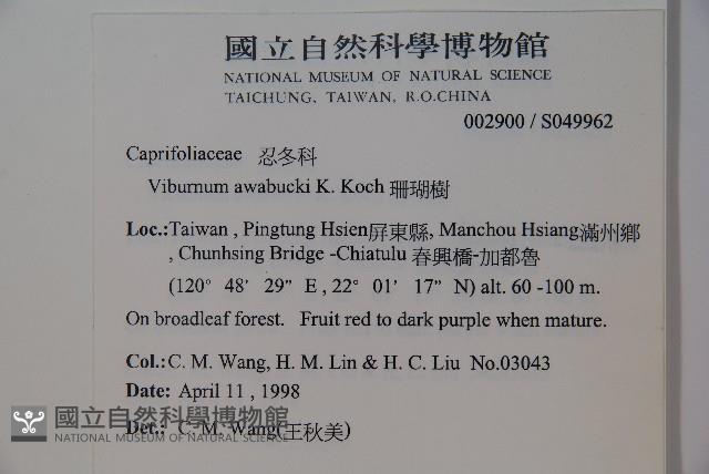 珊瑚樹藏品圖，第2張