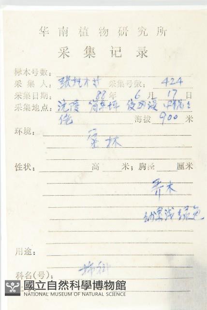 黑棗、君遷子藏品圖，第2張