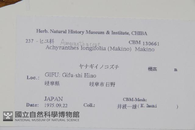 Accession Number:S108042 Collection Image, Figure 2, Total 2 Figures