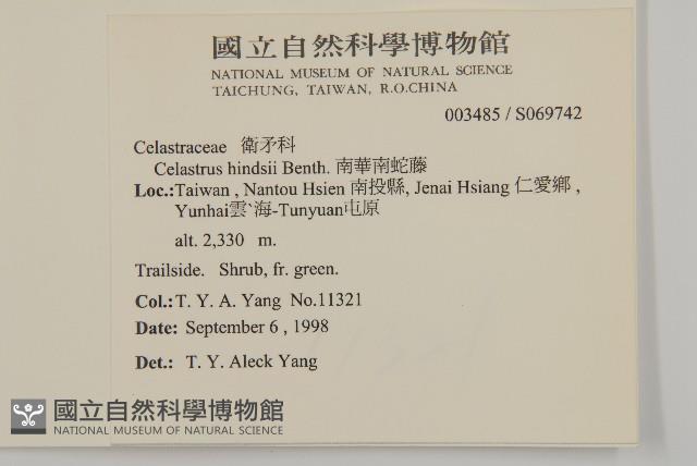 南華南蛇藤，青江藤藏品圖，第2張