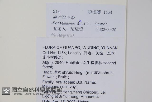 異葉梁王茶藏品圖，第2張