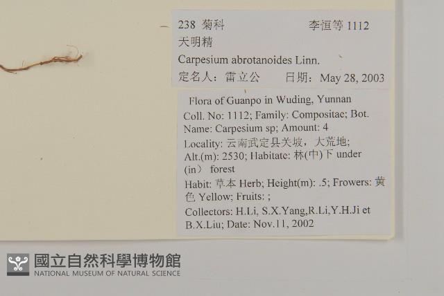 天名精藏品圖，第2張