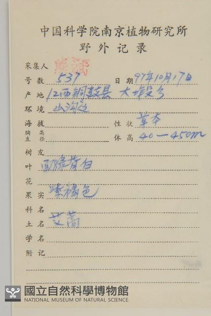 蒙古蒿藏品圖，第2張