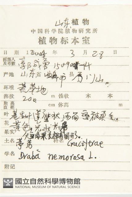 葶藶藏品圖，第2張