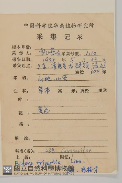 崗柃藏品圖，第2張