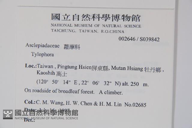 通天蓮藏品圖，第2張