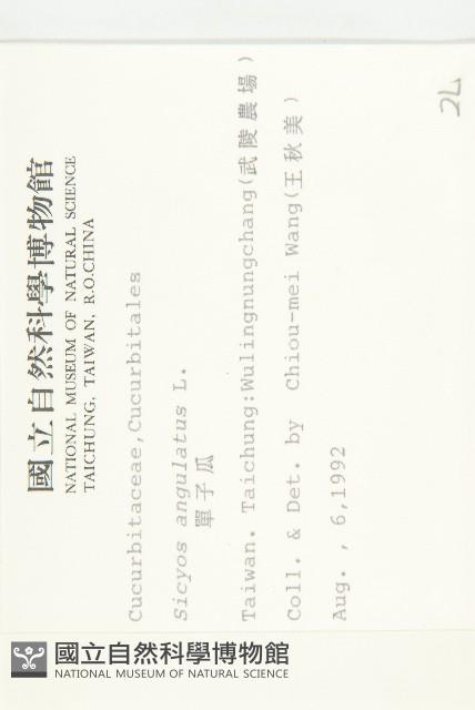 單子瓜、星瓜、刺果瓜藏品圖，第2張