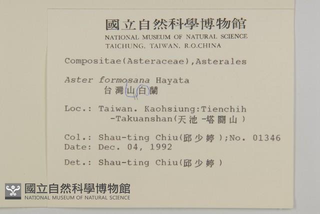 臺灣山白蘭藏品圖，第2張