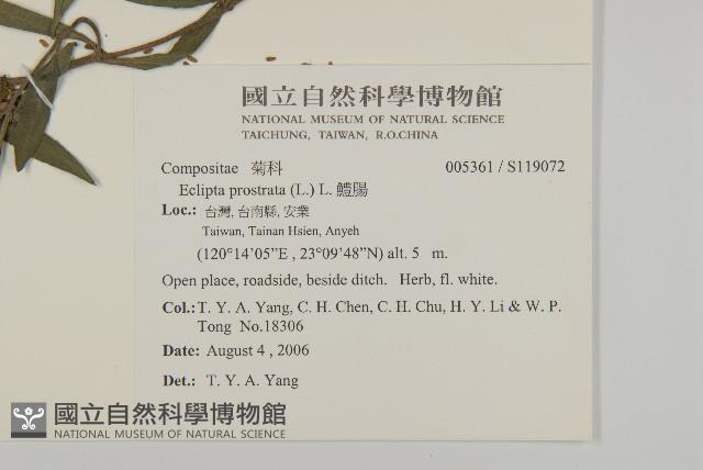 鱧腸藏品圖，第2張