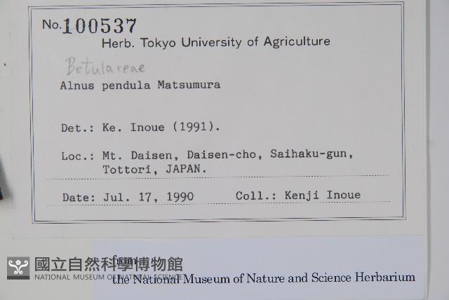 登錄號:S128072藏品圖，第2張