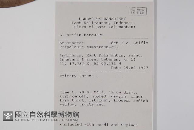 登錄號:S058772藏品圖，第2張