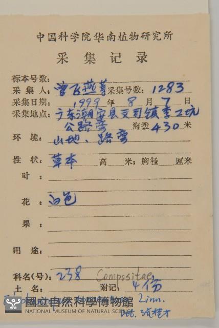 頭花銀背藤藏品圖，第2張